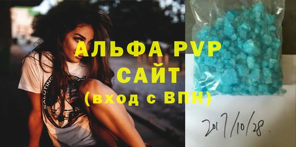 a pvp Бородино