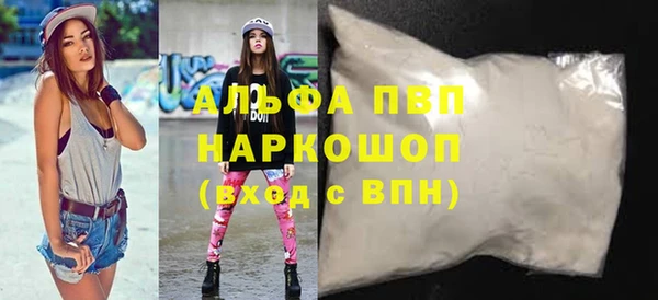 a pvp Бородино