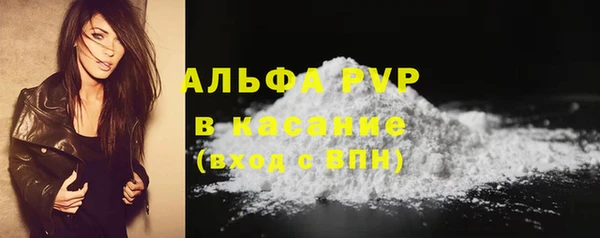 a pvp Бородино