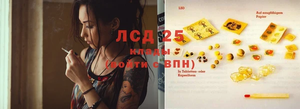 ПСИЛОЦИБИНОВЫЕ ГРИБЫ Верхнеуральск
