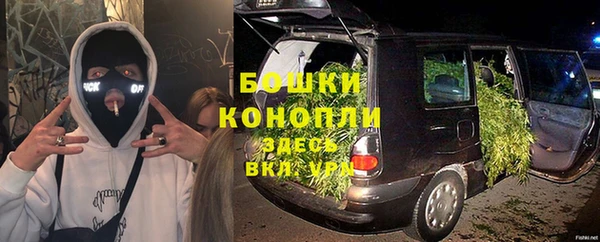 a pvp Бородино