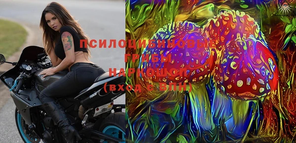 a pvp Бородино