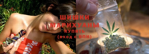 PSILOCYBIN Бронницы