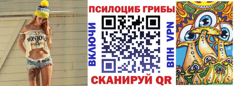 blacksprut онион  Новохопёрск  Псилоцибиновые грибы GOLDEN TEACHER 